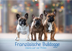 Französische Bulldogge – Clowns auf vier Pfoten (Wandkalender 2022 DIN A2 quer) von Wobith Photography - FotosVonMaja,  Sabrina