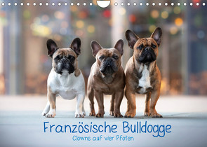 Französische Bulldogge – Clowns auf vier Pfoten (Wandkalender 2022 DIN A4 quer) von Wobith Photography - FotosVonMaja,  Sabrina