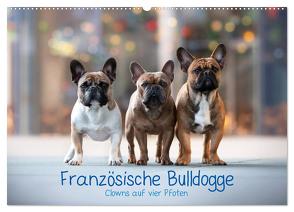 Französische Bulldogge – Clowns auf vier Pfoten (Wandkalender 2024 DIN A2 quer), CALVENDO Monatskalender von Wobith Photography - FotosVonMaja,  Sabrina