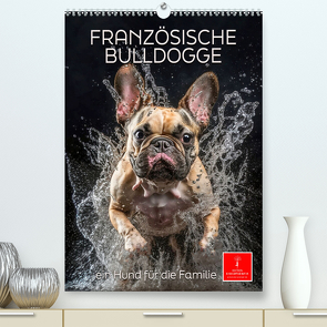 Französische Bulldogge – ein Hund für die Familie (hochwertiger Premium Wandkalender 2024 DIN A2 hoch), Kunstdruck in Hochglanz von Roder,  Peter