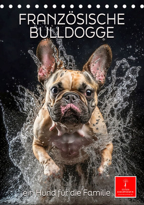 Französische Bulldogge – ein Hund für die Familie (Tischkalender 2024 DIN A5 hoch) von Roder,  Peter