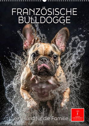Französische Bulldogge – ein Hund für die Familie (Wandkalender 2024 DIN A2 hoch), CALVENDO Monatskalender von Roder,  Peter