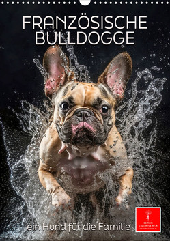 Französische Bulldogge – ein Hund für die Familie (Wandkalender 2024 DIN A3 hoch), CALVENDO Monatskalender von Roder,  Peter