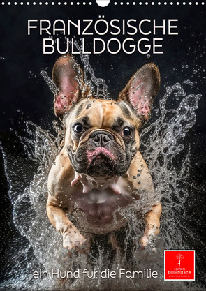 Französische Bulldogge – ein Hund für die Familie (Wandkalender 2024 DIN A3 hoch) von Roder,  Peter