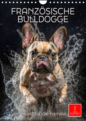 Französische Bulldogge – ein Hund für die Familie (Wandkalender 2024 DIN A4 hoch), CALVENDO Monatskalender von Roder,  Peter