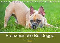 Französische Bulldogge – Kleine Helden auf vier Pfoten (Tischkalender 2023 DIN A5 quer) von Starick,  Sigrid