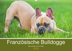 Französische Bulldogge – Kleine Helden auf vier Pfoten (Wandkalender 2023 DIN A2 quer) von Starick,  Sigrid