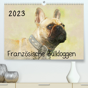 Französische Bulldoggen 2023 (Premium, hochwertiger DIN A2 Wandkalender 2023, Kunstdruck in Hochglanz) von Redecker,  Andrea