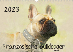 Französische Bulldoggen 2023 (Wandkalender 2023 DIN A3 quer) von Redecker,  Andrea