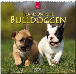 Französische Bulldoggen von Hutfluss,  Jeanette