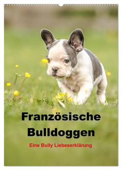 Französische Bulldoggen – Eine Bully Liebeserkärung (Wandkalender 2024 DIN A2 hoch), CALVENDO Monatskalender von Obermüller,  Yvonne