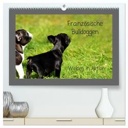 Französische Bulldoggen (hochwertiger Premium Wandkalender 2024 DIN A2 quer), Kunstdruck in Hochglanz von Hultsch,  Heike