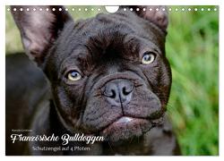 Französische Bulldoggen – Schutzengel auf 4 Pfoten (Wandkalender 2024 DIN A4 quer), CALVENDO Monatskalender von Grüttner,  Kerstin