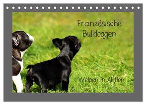 Französische Bulldoggen (Tischkalender 2024 DIN A5 quer), CALVENDO Monatskalender von Hultsch,  Heike