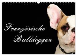 Französische Bulldoggen (Wandkalender 2024 DIN A3 quer), CALVENDO Monatskalender von Noack,  Nicole