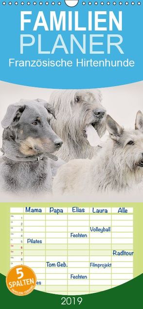 Französische Hirtenhunde 2019 – Familienplaner hoch (Wandkalender 2019 , 21 cm x 45 cm, hoch) von Redecker,  Andrea