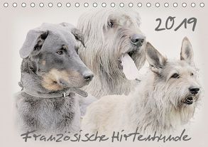 Französische Hirtenhunde 2019 (Tischkalender 2019 DIN A5 quer) von Redecker,  Andrea