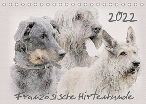 Französische Hirtenhunde 2022 (Tischkalender 2022 DIN A5 quer) von Redecker,  Andrea