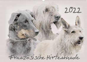 Französische Hirtenhunde 2022 (Wandkalender 2022 DIN A2 quer) von Redecker,  Andrea