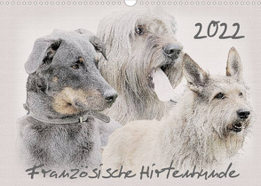 Französische Hirtenhunde 2022 (Wandkalender 2022 DIN A3 quer) von Redecker,  Andrea