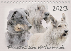 Französische Hirtenhunde 2023 (Tischkalender 2023 DIN A5 quer) von Redecker,  Andrea