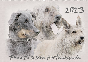 Französische Hirtenhunde 2023 (Wandkalender 2023 DIN A2 quer) von Redecker,  Andrea