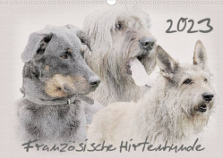 Französische Hirtenhunde 2023 (Wandkalender 2023 DIN A3 quer) von Redecker,  Andrea