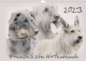 Französische Hirtenhunde 2023 (Wandkalender 2023 DIN A4 quer) von Redecker,  Andrea