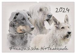 Französische Hirtenhunde 2024 (Wandkalender 2024 DIN A2 quer), CALVENDO Monatskalender von Redecker,  Andrea