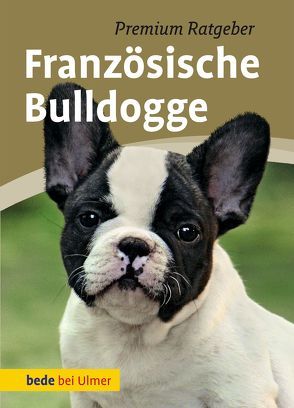 Französische Bulldogge von Schmitt,  Annette