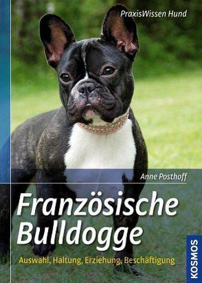 Französische Bulldogge von Posthoff,  Dr. med. vet. Anne