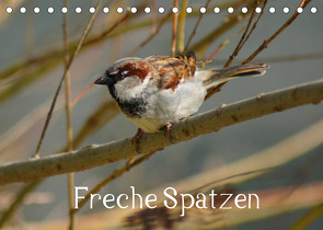 Freche Spatzen (Tischkalender 2022 DIN A5 quer) von kattobello