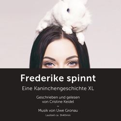 Frederike spinnt – eine Kaninchengeschichte XL von Keidel,  Cristine