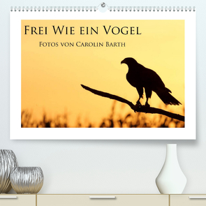 Frei wie ein Vogel (Premium, hochwertiger DIN A2 Wandkalender 2023, Kunstdruck in Hochglanz) von Barth,  Carolin