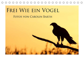 Frei wie ein Vogel (Tischkalender 2022 DIN A5 quer) von Barth,  Carolin