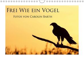 Frei wie ein Vogel (Wandkalender 2019 DIN A4 quer) von Barth,  Carolin