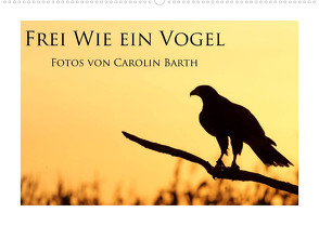 Frei wie ein Vogel (Wandkalender 2022 DIN A2 quer) von Barth,  Carolin