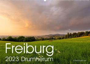 Freiburg, Drumherum (Wandkalender 2023 DIN A2 quer) von Gysel Lenk,  David