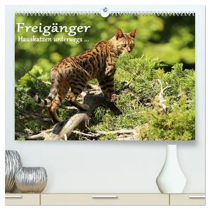 Freigänger – Hauskatzen unterwegs (hochwertiger Premium Wandkalender 2024 DIN A2 quer), Kunstdruck in Hochglanz von Schmäing,  Werner