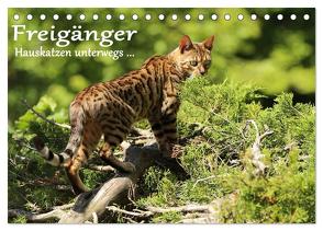 Freigänger – Hauskatzen unterwegs (Tischkalender 2024 DIN A5 quer), CALVENDO Monatskalender von Schmäing,  Werner
