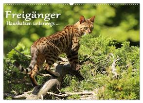 Freigänger – Hauskatzen unterwegs (Wandkalender 2024 DIN A2 quer), CALVENDO Monatskalender von Schmäing,  Werner