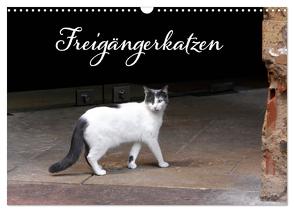 Freigängerkatzen (Wandkalender 2024 DIN A3 quer), CALVENDO Monatskalender von Rütten,  Kristina