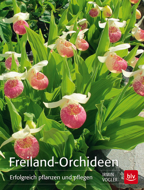 Freiland-Orchideen von Vogler,  Irmin