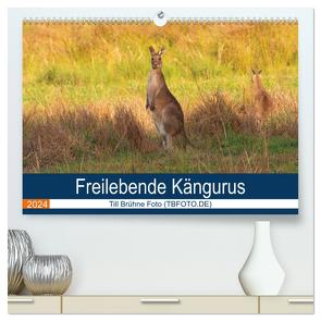 Freilebende Kängurus (hochwertiger Premium Wandkalender 2024 DIN A2 quer), Kunstdruck in Hochglanz von Brühne Foto (TBFOT.DE),  Till