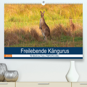 Freilebende Kängurus (Premium, hochwertiger DIN A2 Wandkalender 2022, Kunstdruck in Hochglanz) von Brühne Foto (TBFOT.DE),  Till