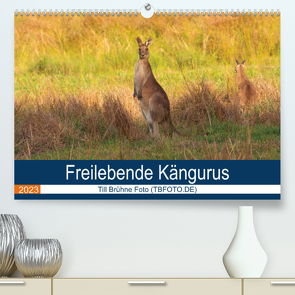 Freilebende Kängurus (Premium, hochwertiger DIN A2 Wandkalender 2023, Kunstdruck in Hochglanz) von Brühne Foto (TBFOT.DE),  Till