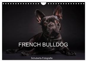 French Bulldog (Wandkalender 2024 DIN A4 quer), CALVENDO Monatskalender von Schuberts-Fotografie,  Schuberts-Fotografie