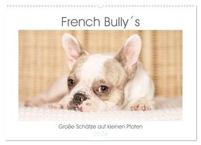 French Bully´s – Große Schätze auf kleinen Pfoten (Wandkalender 2024 DIN A2 quer), CALVENDO Monatskalender von Stark Sugarsweet - Photo,  Susanne