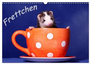 Frettchen – Ferrets (Wandkalender 2024 DIN A3 quer), CALVENDO Monatskalender von Hutfluss,  Jeanette