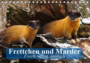 Frettchen und Marder. Frech, witzig, niedlich (Tischkalender 2019 DIN A5 quer) von Stanzer,  Elisabeth